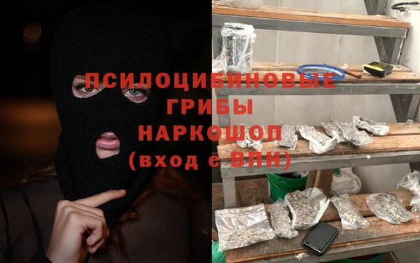 СК Вязьма