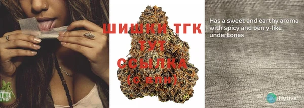 шишки Волоколамск