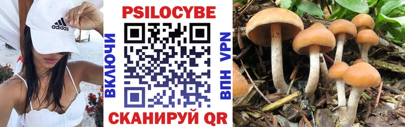 Купить где  Усть-Илимск  Галлюциногенные грибы Psilocybine cubensis 