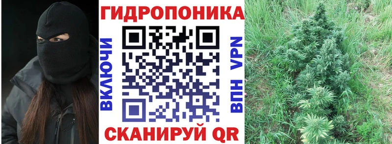 Купить  Усть-Илимск  Канабис Amnesia 